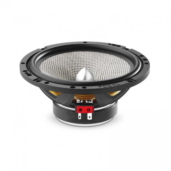 Focal Access 165 AS_2.jpg